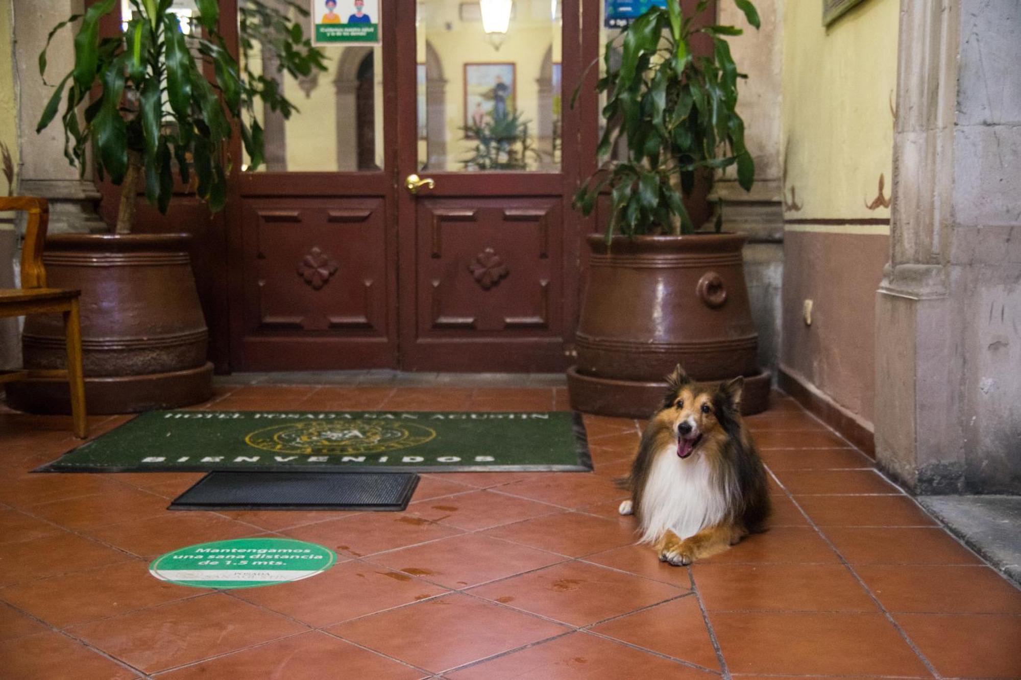 Hotel Posada San Agustin 두랑고 외부 사진