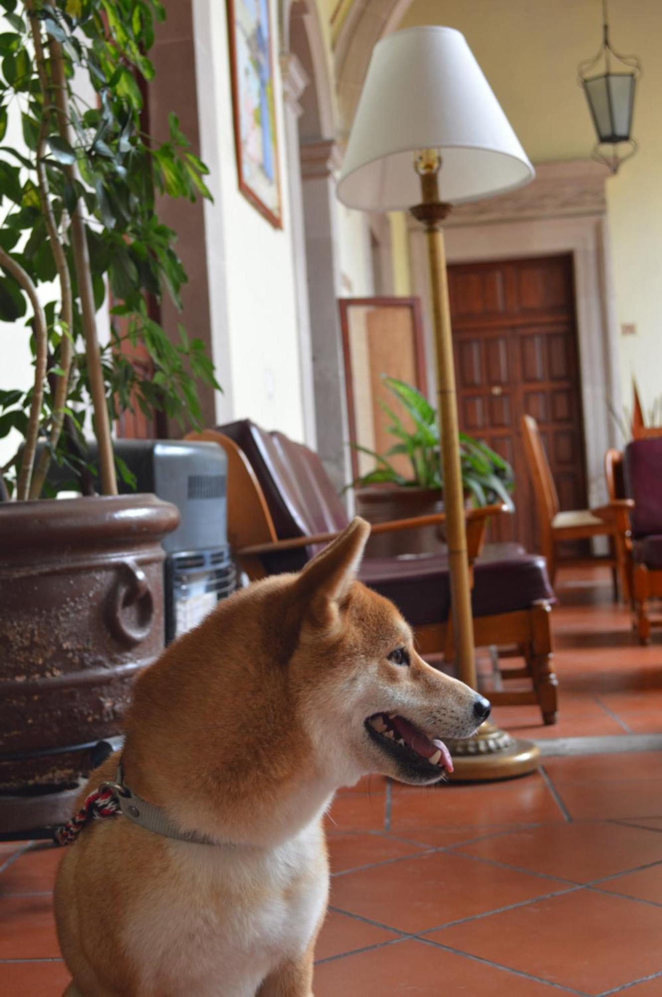Hotel Posada San Agustin 두랑고 외부 사진